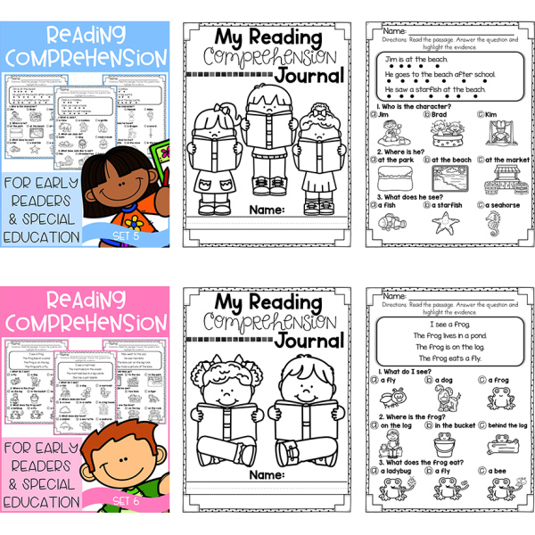 Phonics - Reading Comprehension