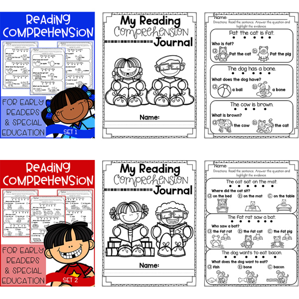 Phonics - Reading Comprehension